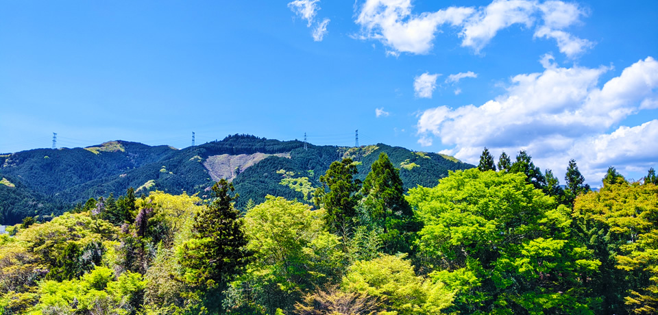 個人所有の山の管理